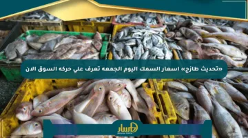 «تحديث طازج» أسعار السمك اليوم الجمعة تعرف على حركة السوق الآن